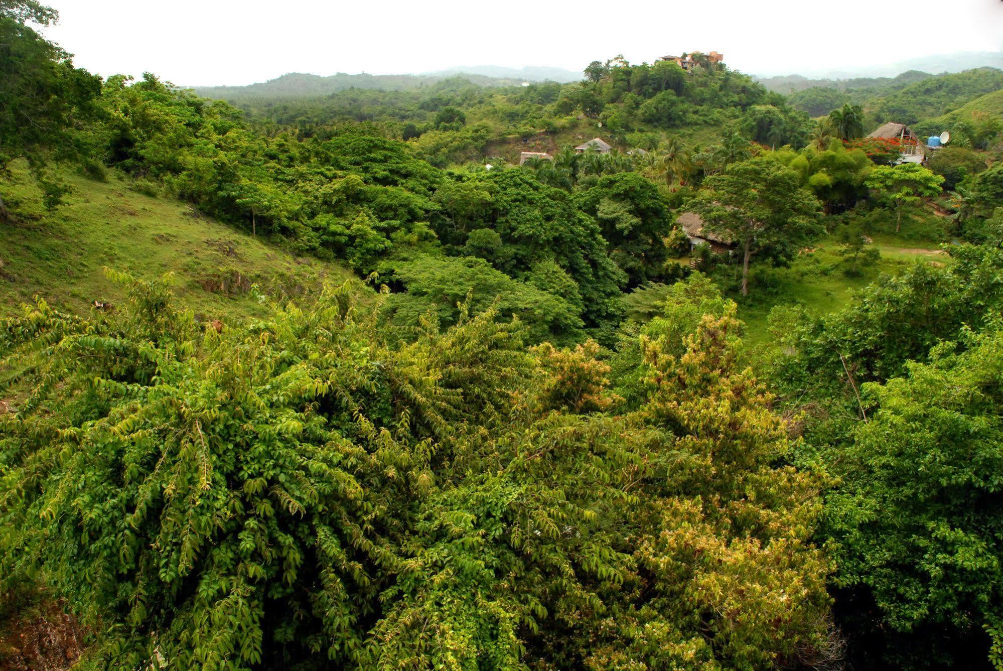 Clave Verde Ecolodge Лас Теренас Екстериор снимка
